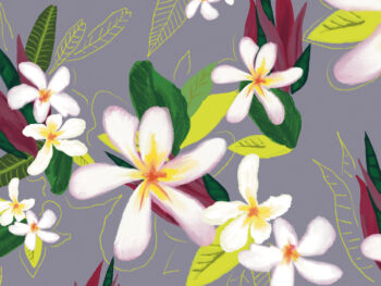 Ellen Morse surface pattern design of white plumeria hawaii inspired florals