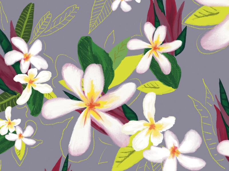 Ellen Morse surface pattern design of white plumeria hawaii inspired florals