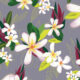 Ellen Morse surface pattern design of white plumeria hawaii inspired florals