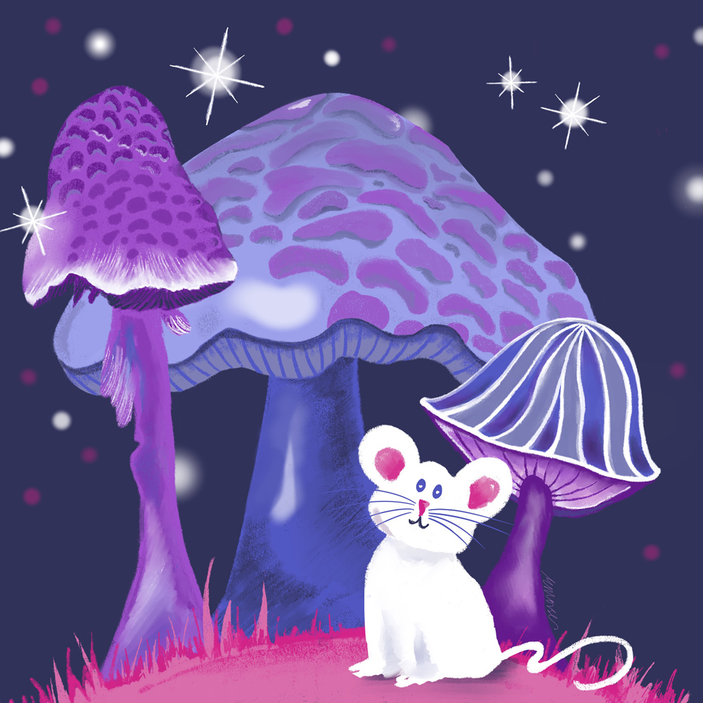 Mouse and mushrooms 