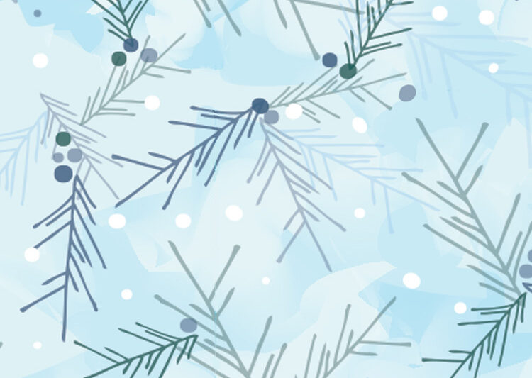 Christmas pine branches by Ellen Morse
